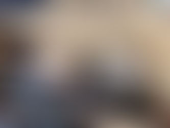 История о том, как в Пярну эстонцы спасали котят от пьяных латышей