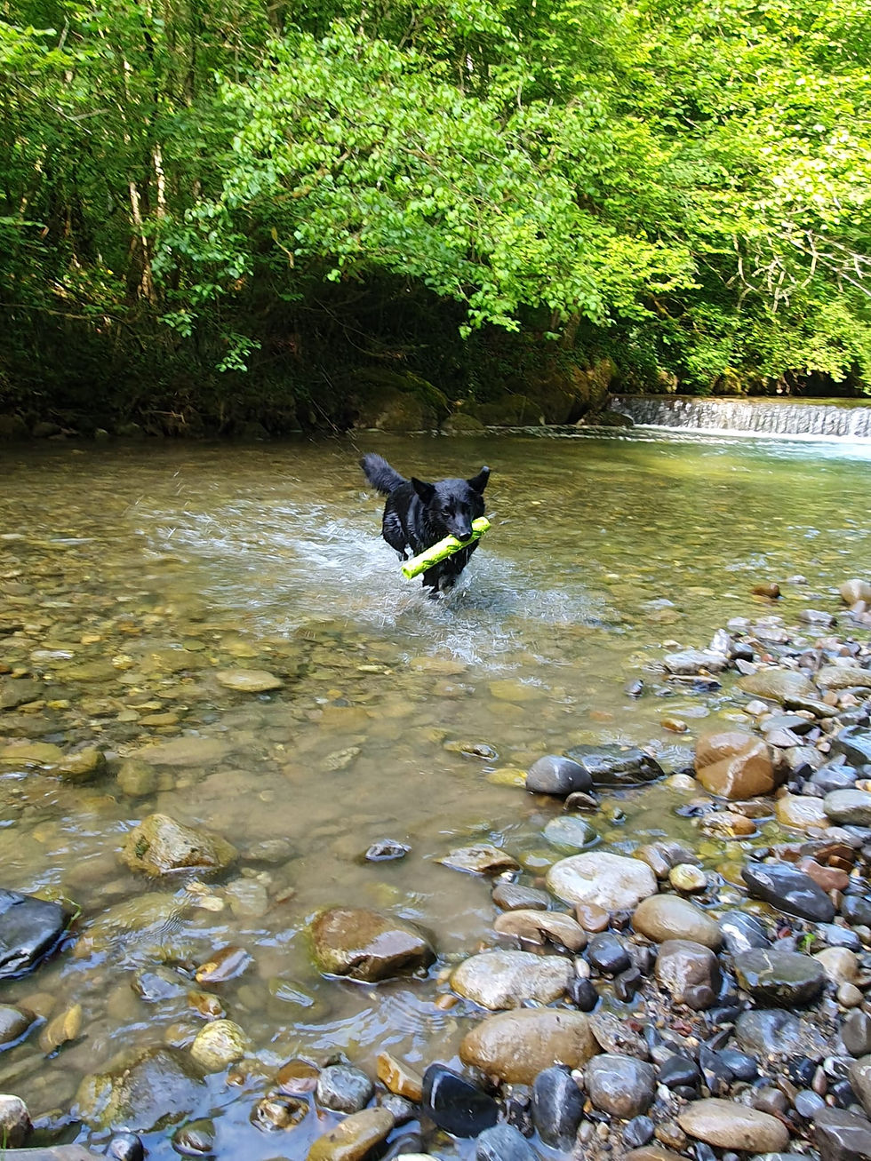 Miniaturbild: Magic Dummy, Apportel, Dummy, Hundedummy, Dummy Hundetraining