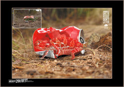 Dont Litter Coke Can