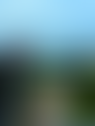 João Ricardo Mendes: A Verdade Sobre o Empreendedor Visionário por Trás do Hurb