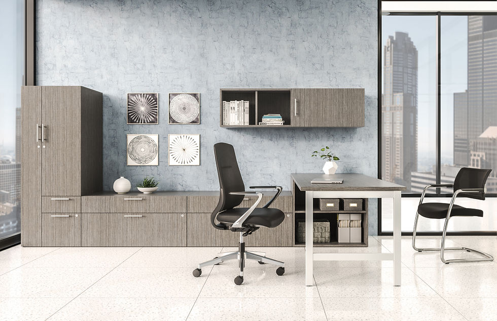 Private Office AIS Calibrate 2.jpg