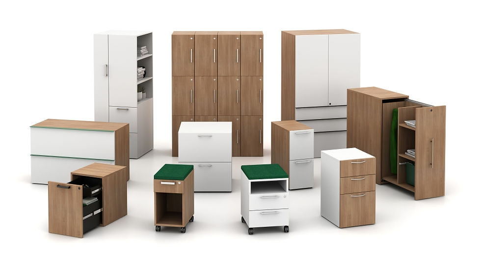 Casegoods and Storage AIS Calibrate Storage.jpg