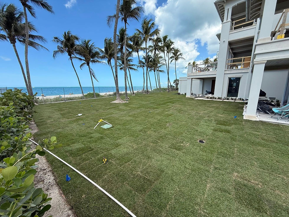Complete Sod job in Naples, FL