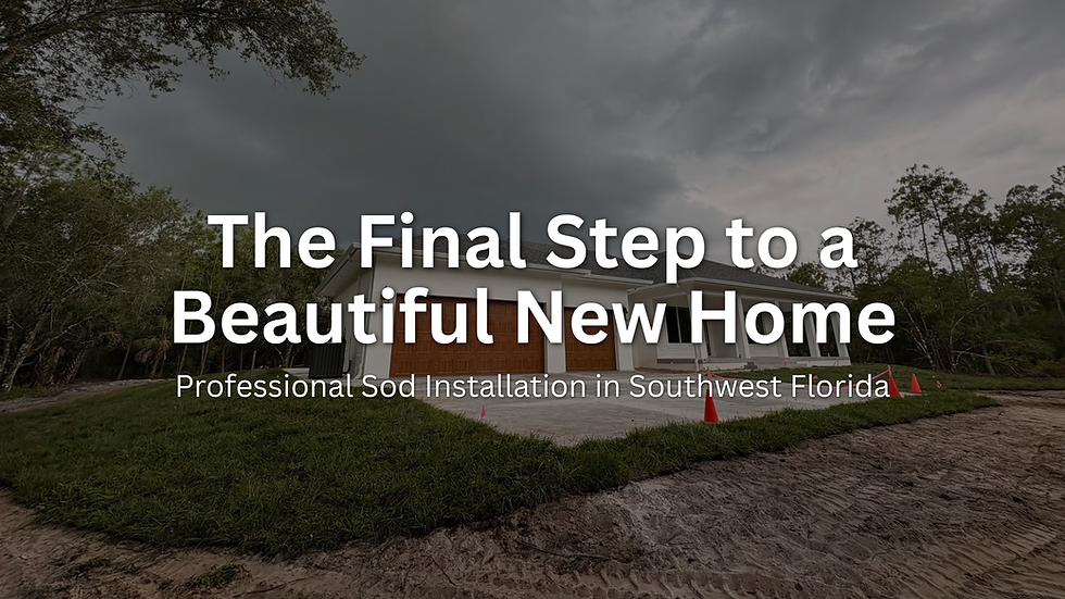 New Construction Landscaping in Naples, FL: Why Builders Choose Professional Sod Installation