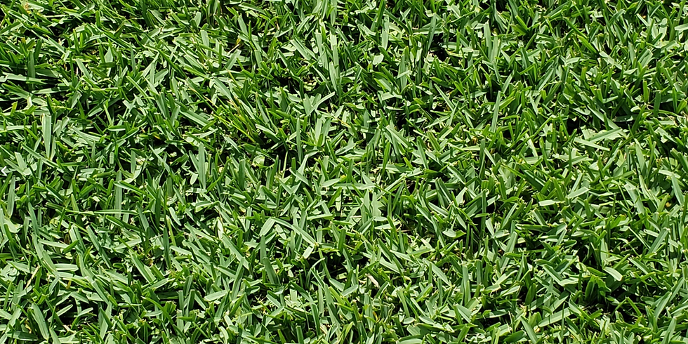 Citra Blue sod.png