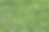 Celebration Bermuda Sod.png