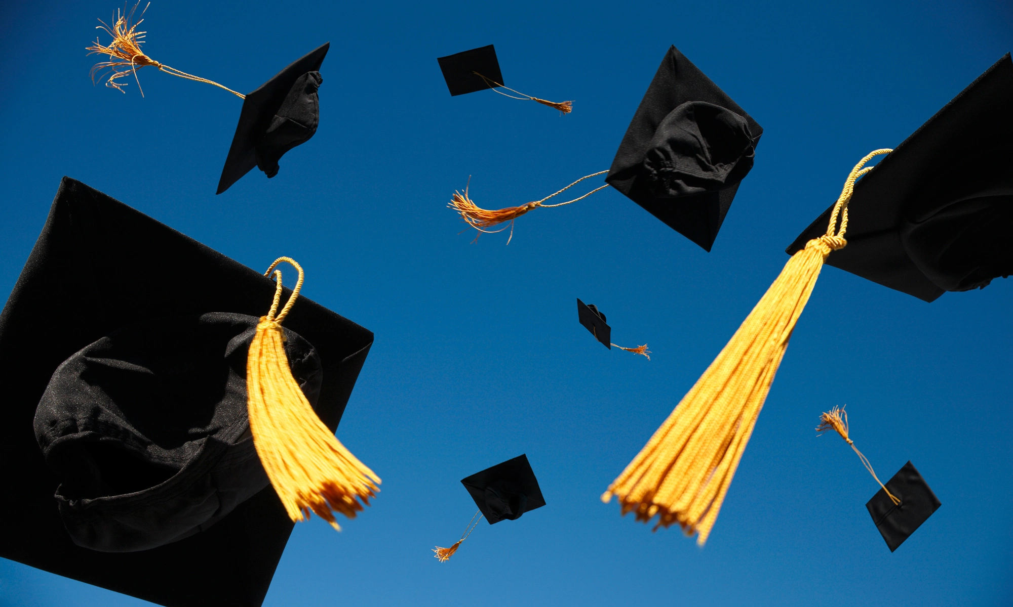 graduate.webp