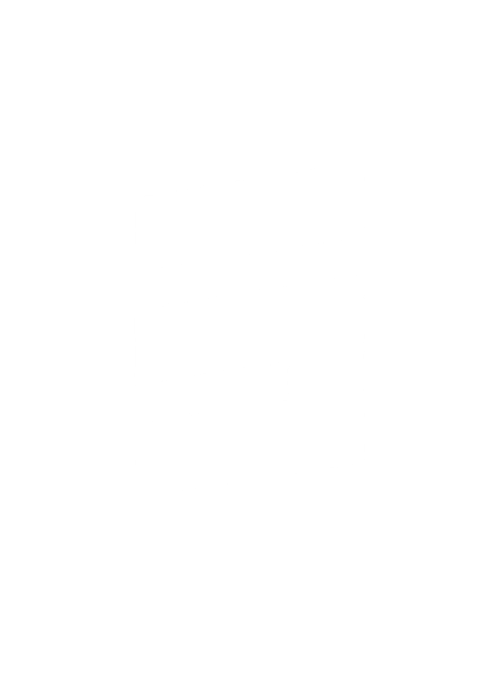 logo ds png.PNG
