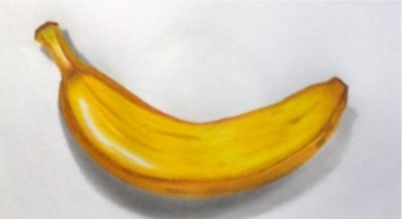 WhatsApp Image 2024-12-05 at 4.12.49 PM