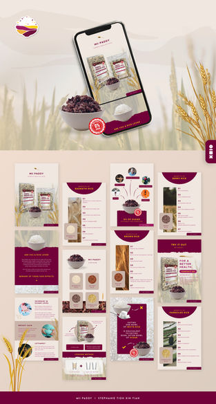 Mii Paddy Product PPT Design