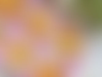 Muffins de huevo y verduras