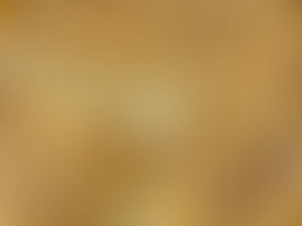 Cuadrados de manzana y ricota