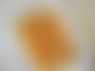 Zucchini relleno con pollo