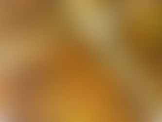 Cuadrados de verdura y choclo