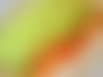 Wrap con masa de zapallito