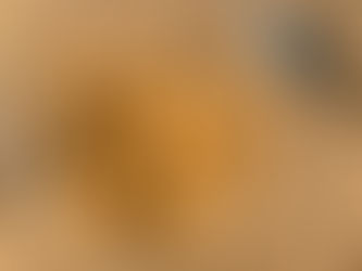 Mousse de dulce de leche sin azúcar