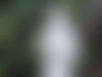 The Communion of Dogs