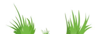 Grass_02-01_edited.png