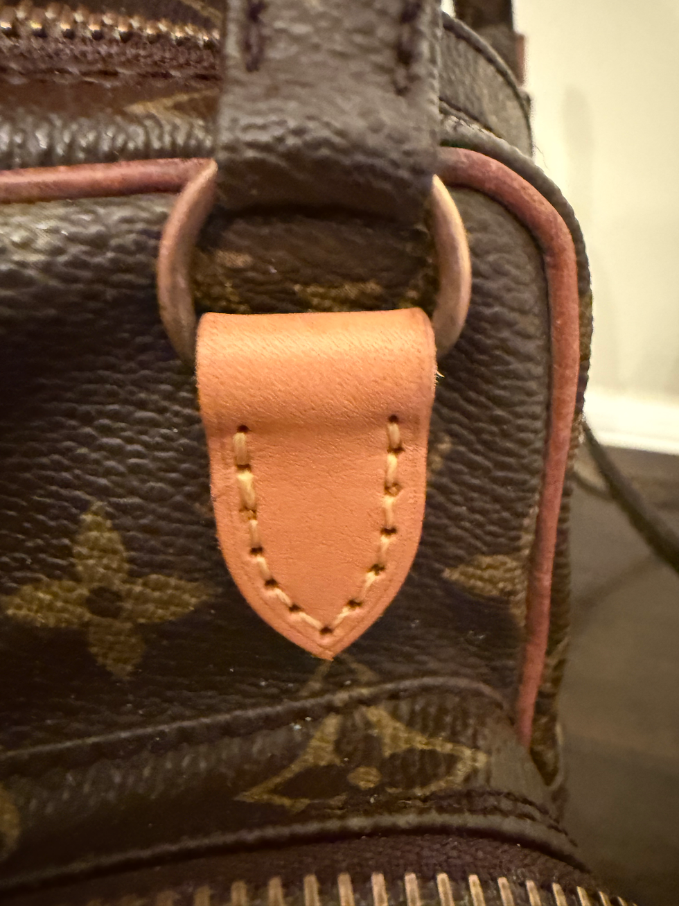 Thumbnail: LV Monogram Mini Amazon 