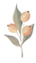かざり2.png