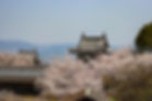 桜の風景