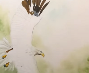 Screen Shot 2021-05-19 at 12.33.14 PM.pn