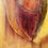 Thumbnail: TENDER BLOOM