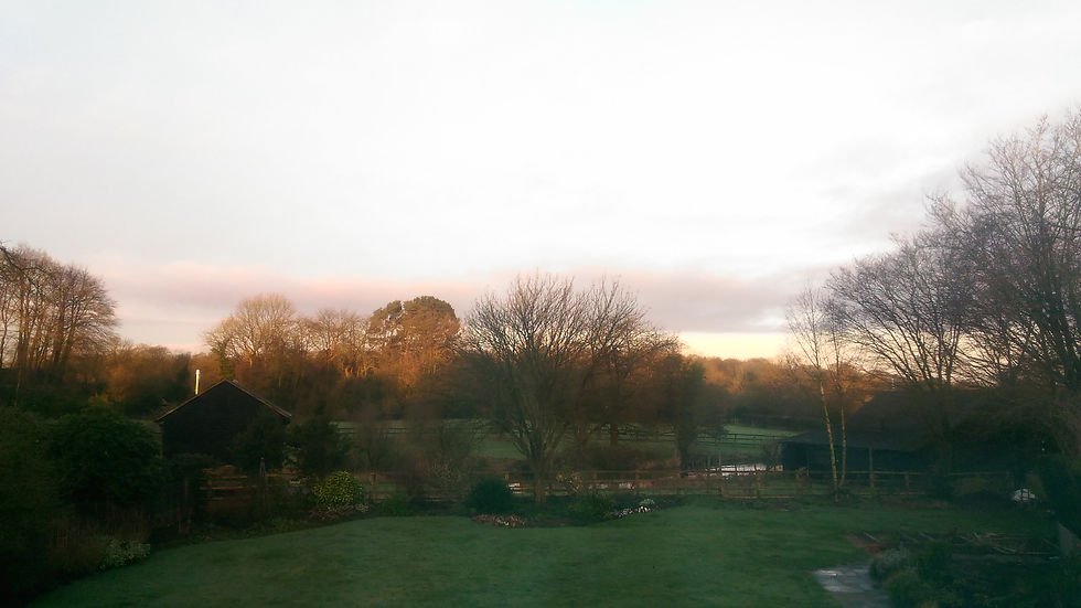 View of Claire's room