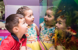 Sofia 4 anos_AmandaBD-67