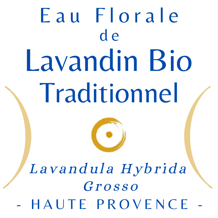 Miniature : Eau florale vibratoire de Lavandin bio (Lavandula hybrida grosso)