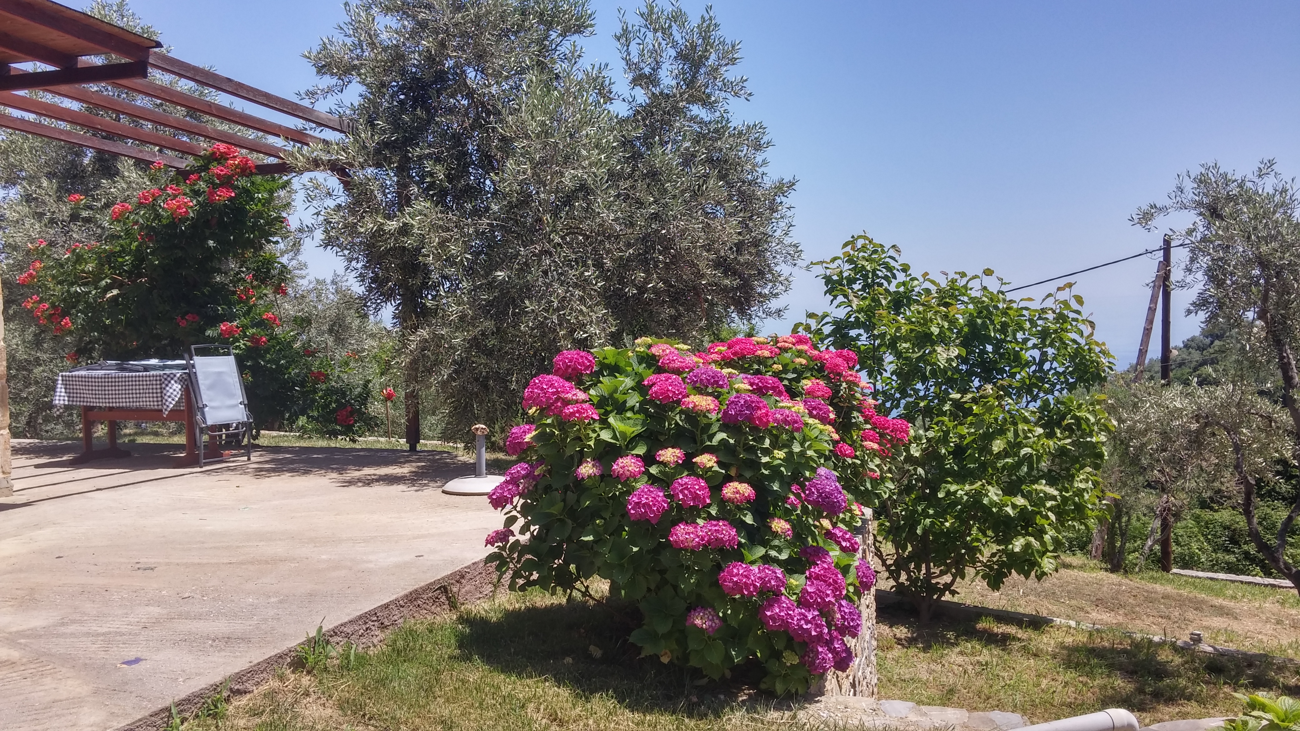 Orlys' Villas