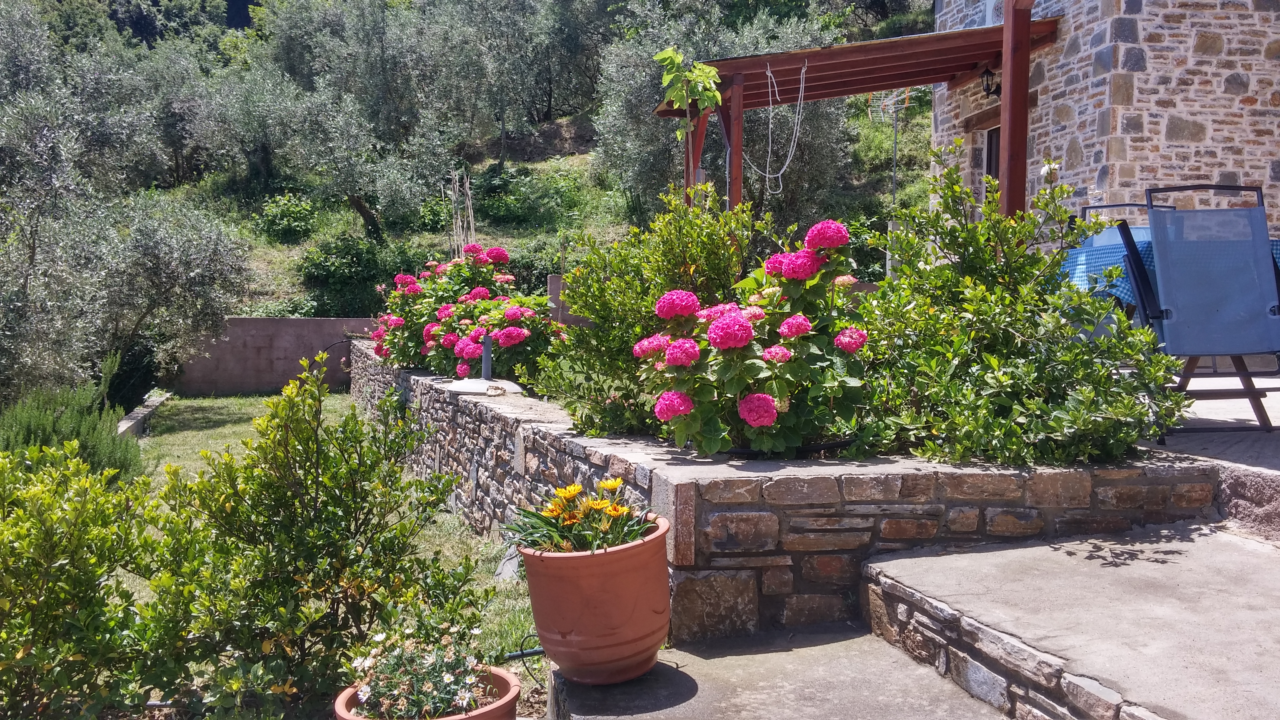 Orlys' Villas