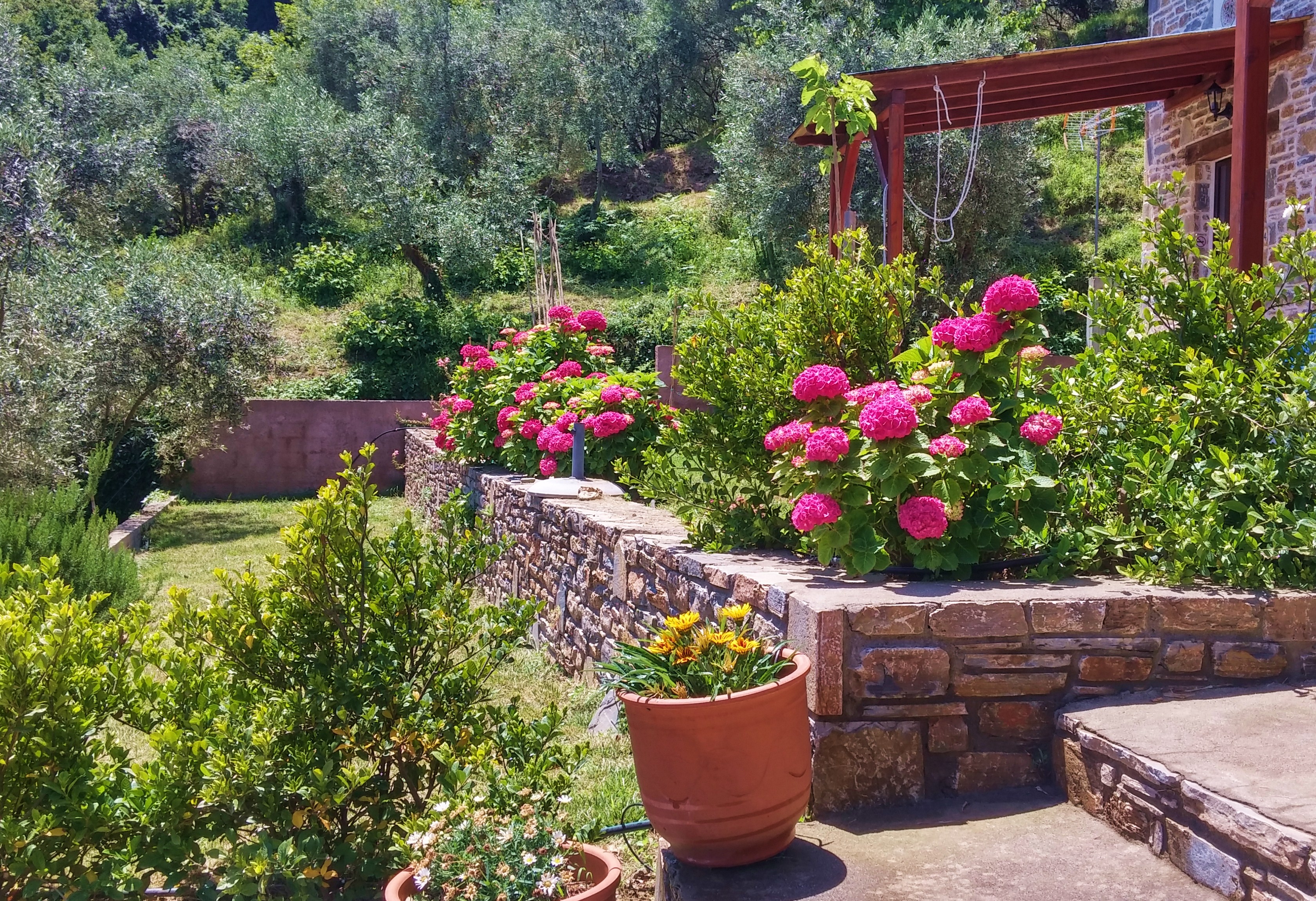 Garden - Orlys' Villas