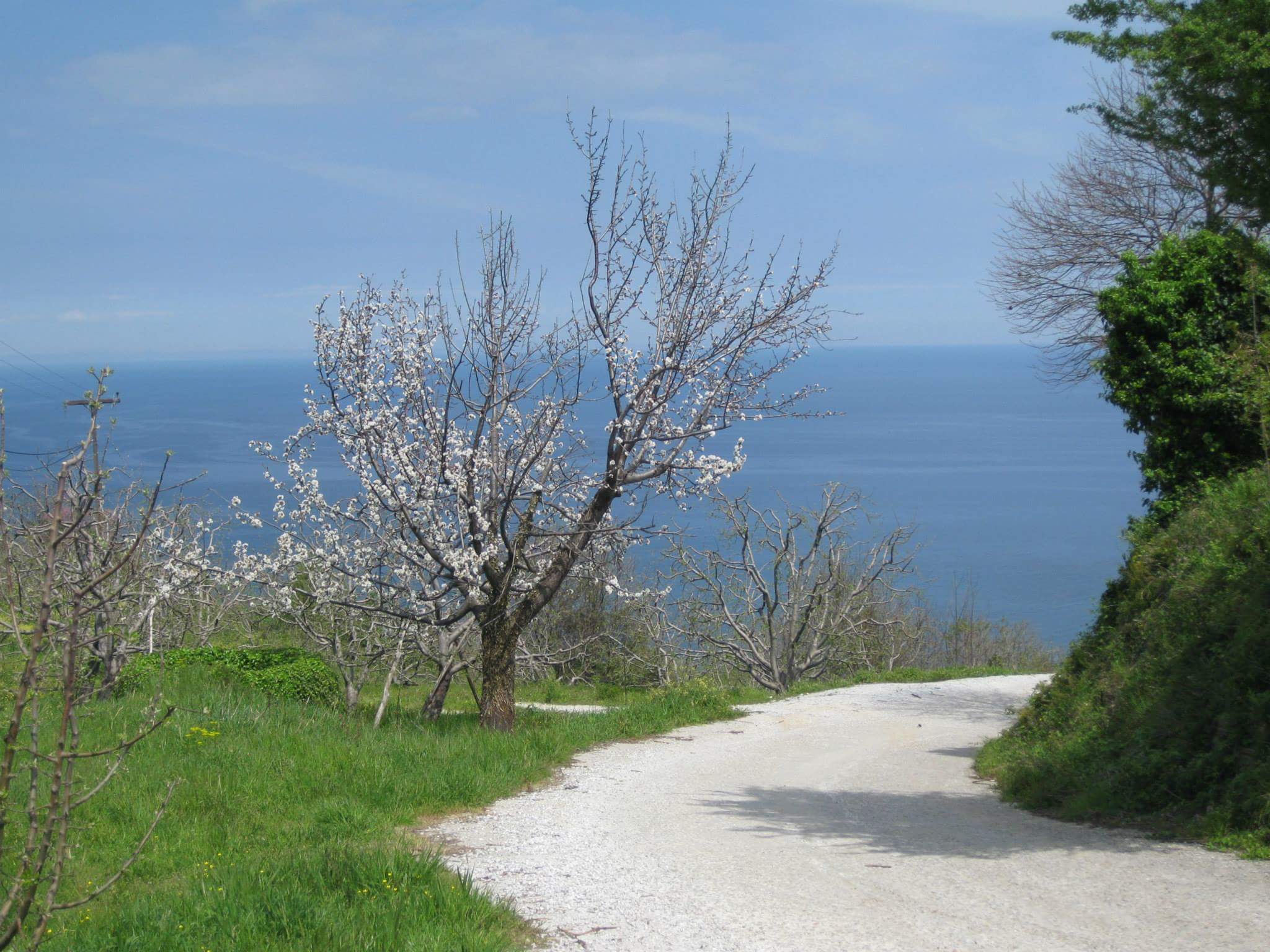 Road leading to Sunrise View Homes