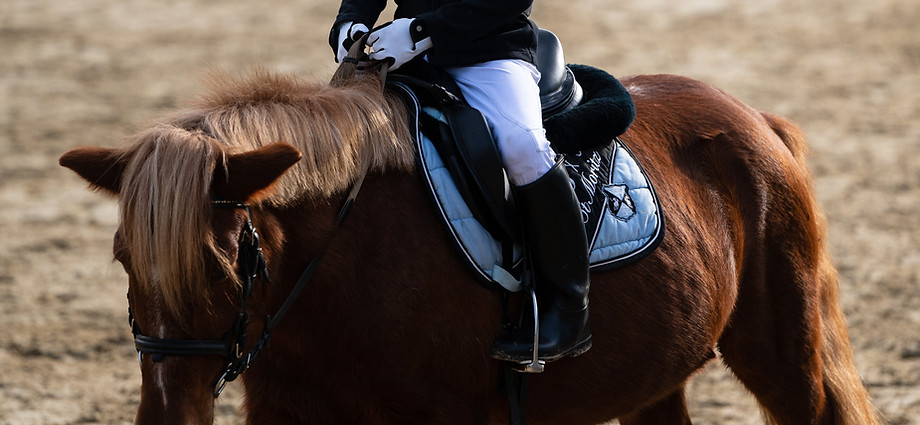 Pony und Kind während des Reitunterrichts
