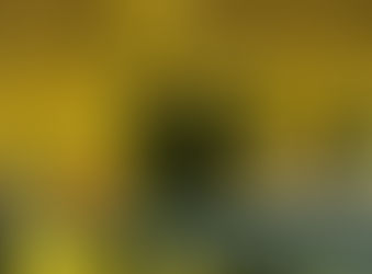 新人体育大会(卓球)