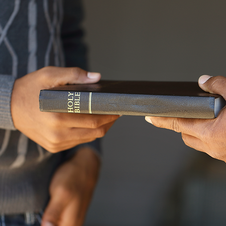 World Bible School
