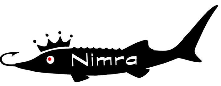 Nimra_logo.png