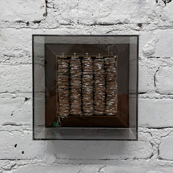 Max Popov
Battery
Pennies, aluminum foil, cardboard, vitrine 61⁄2x61⁄2x61⁄2inches
2024