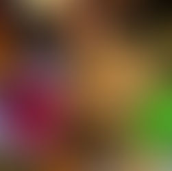 a bowl of curried chickpeas and fried bread