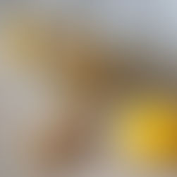 Ginger Bug & Ginger Beer