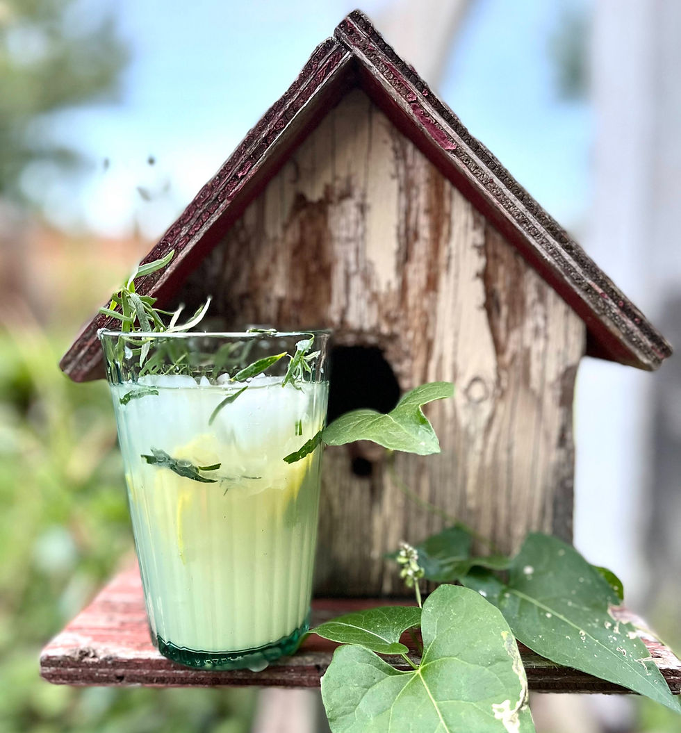 Gin & Tarragon Sparkling Lemonade