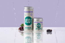 Vegan Society, Veg 1