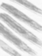 Thumbnail: ZEN WALLI