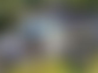 WE ARE BLACK HISTORY 2026: LCC Trustee Angela Mathews | Madam Chair, Making Moves for Student Success, Cemented in LCC History | A Chronicle News Community Spotlight