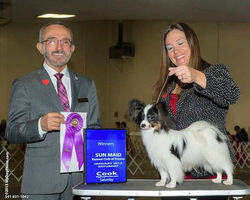 10455767_10203850894093864_1720477984693353389_n