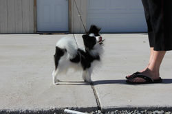 11405534_10204742705068581_4739255718551372560_o