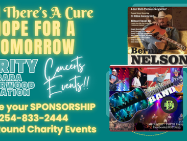 The Chronicle Small Business Spotlight: The Barbara Leatherwood Fight for the Cure Foundation