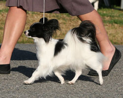 858523_4511388663888_17609806_o