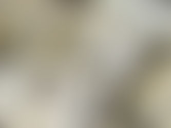 Investing 101: Beginners Guide